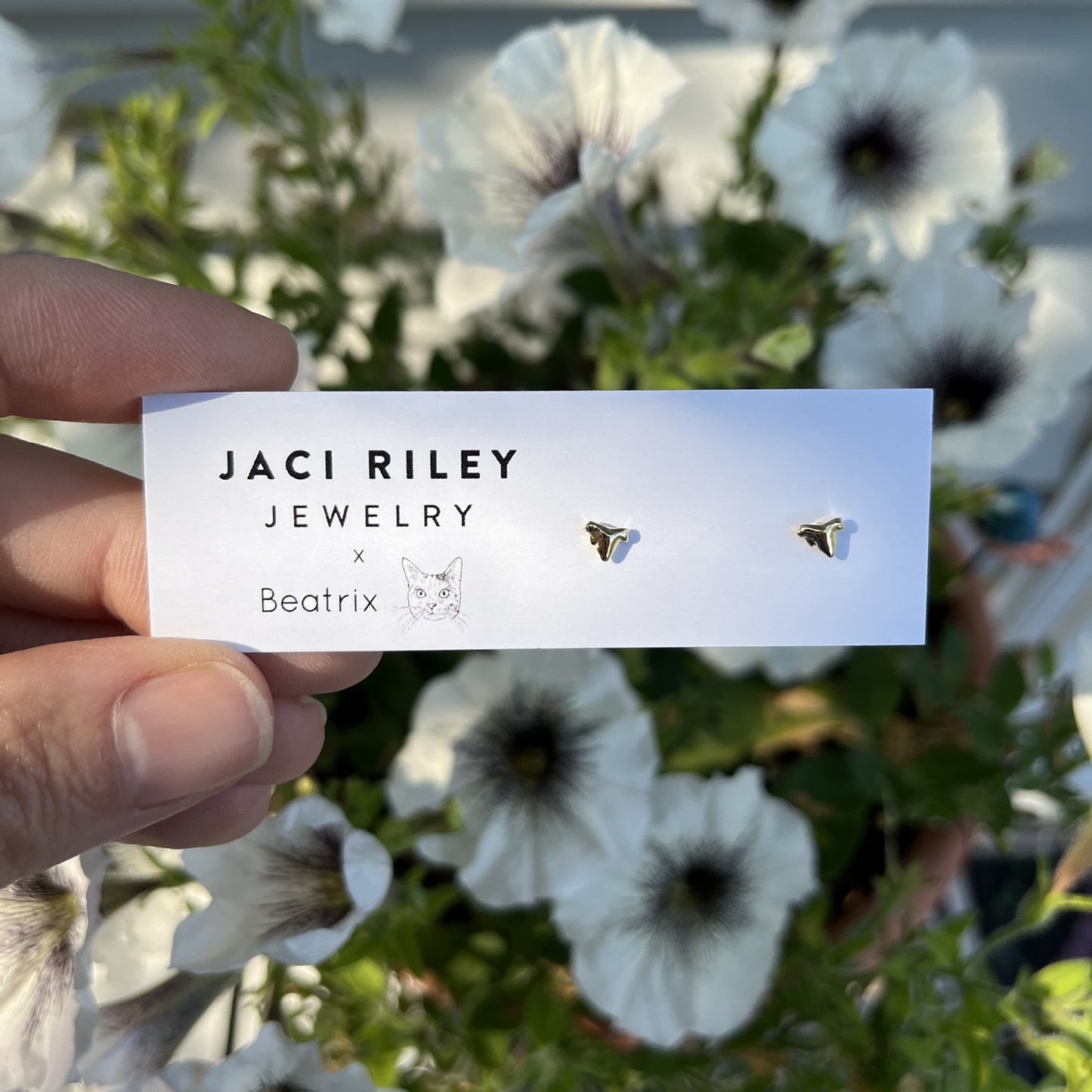 Kitten Tooth Stud Earrings