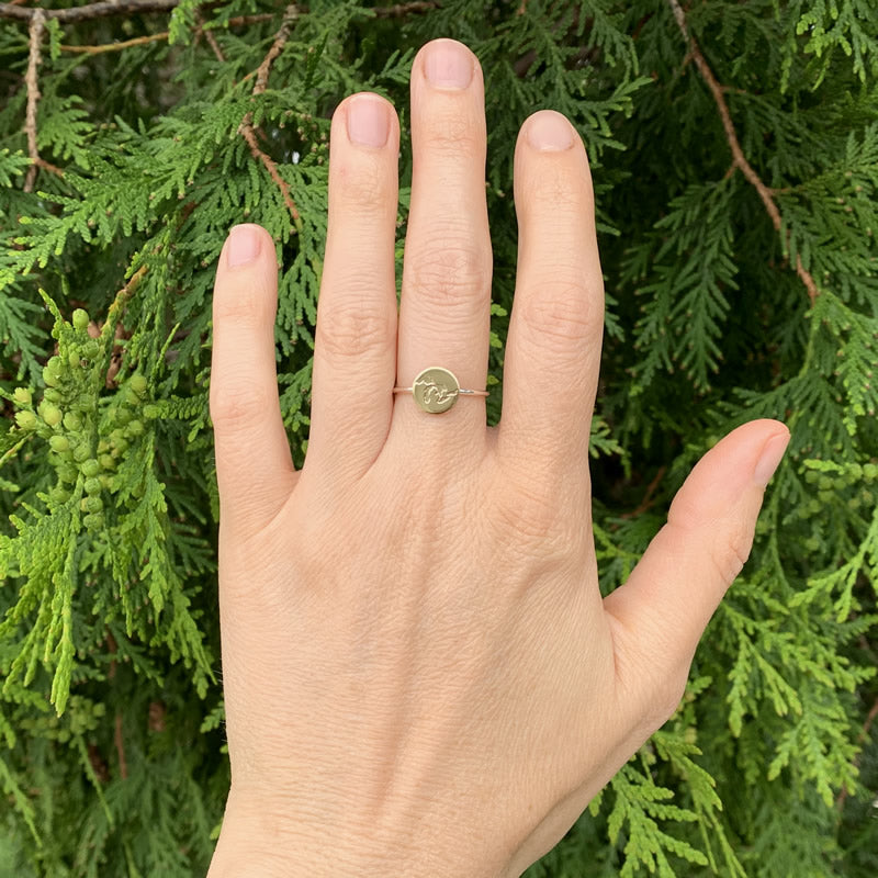 The Great Lakes ring in sterling silver