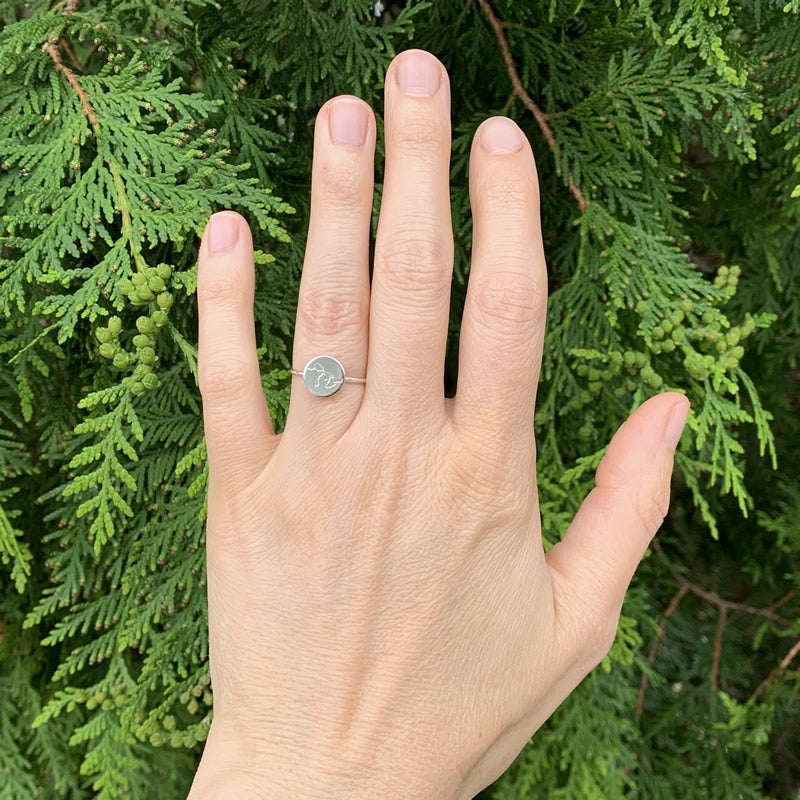The Great Lakes ring in sterling silver