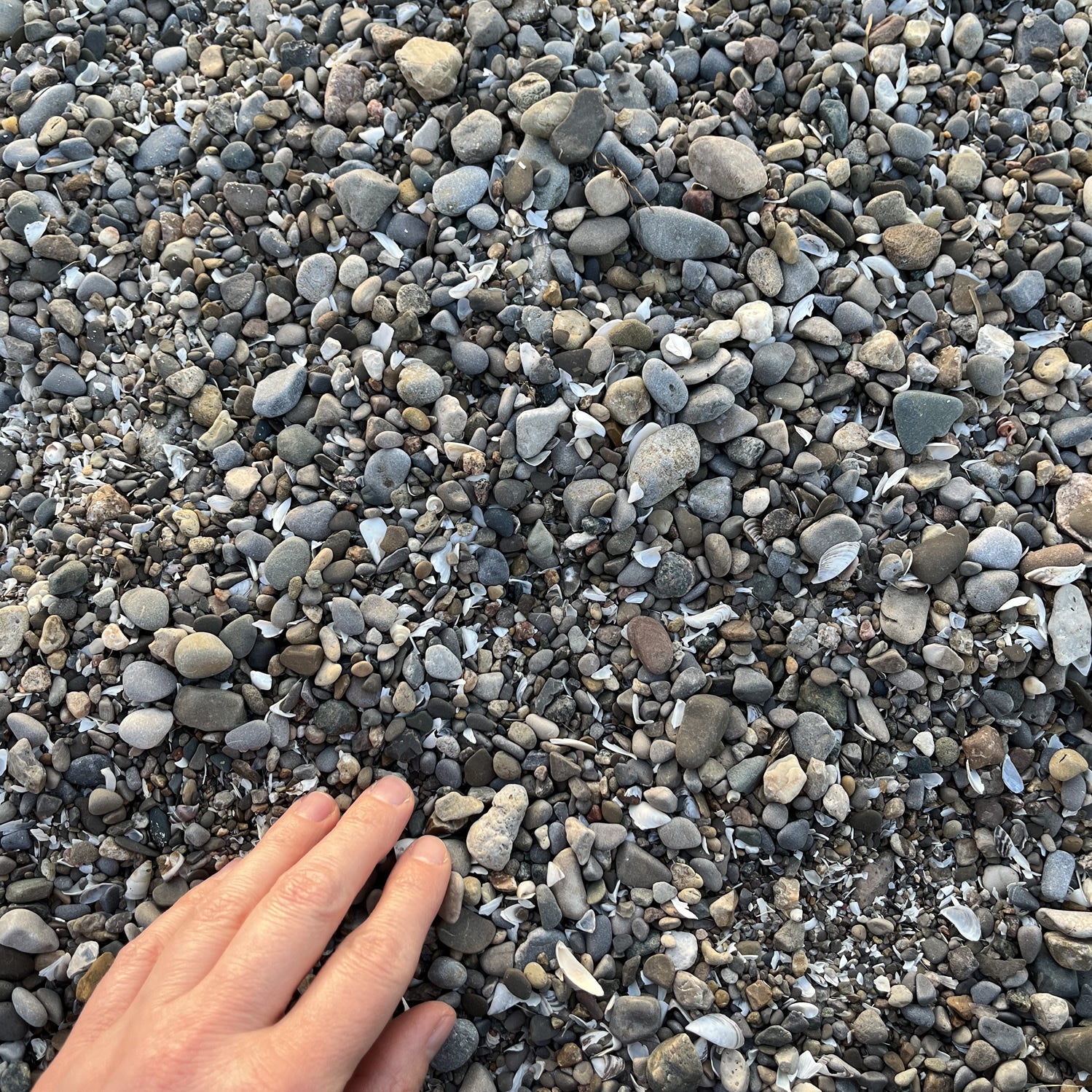 Pebble Necklace – Jaci Riley Jewelry
