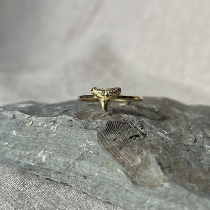 Gold Vermeil Shark Tooth Ring