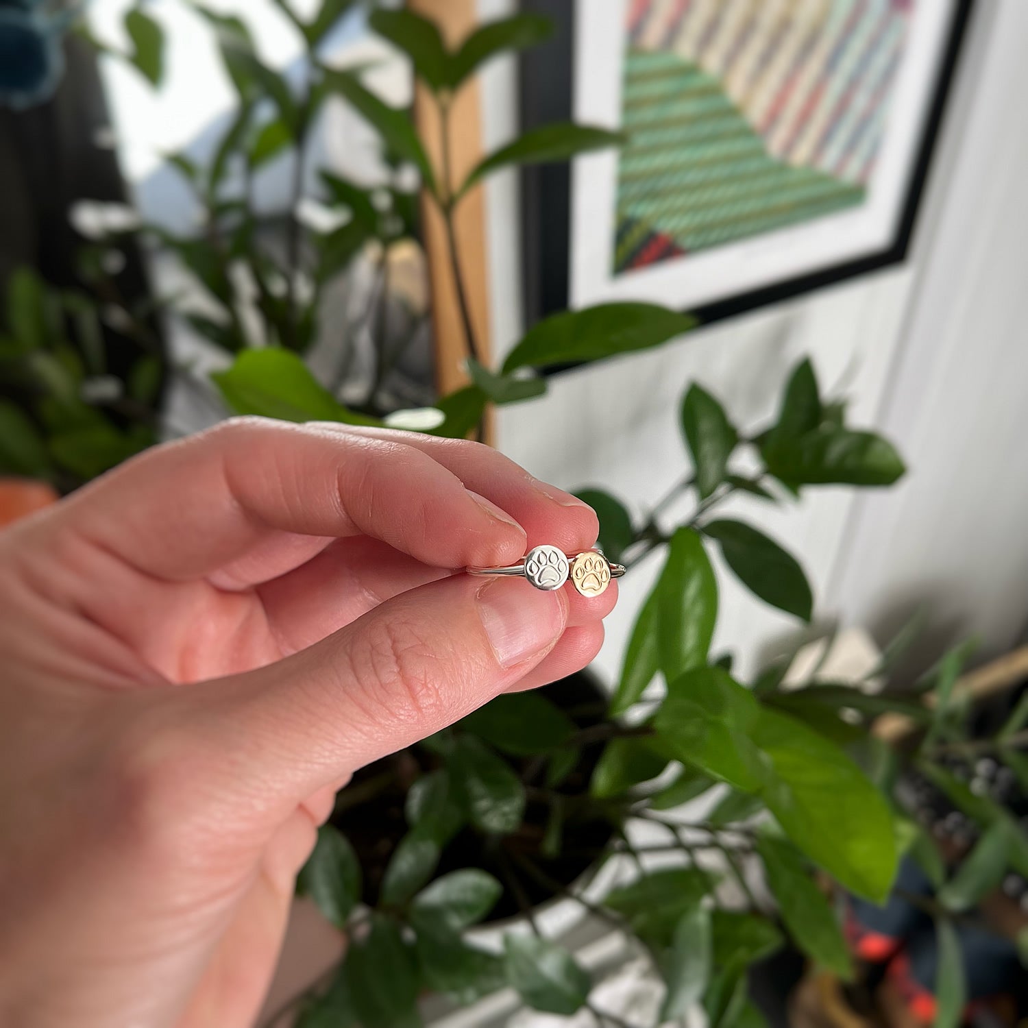 sterling silver and 14k gold filled paw print rings with plant in the background jaci riley jewelry