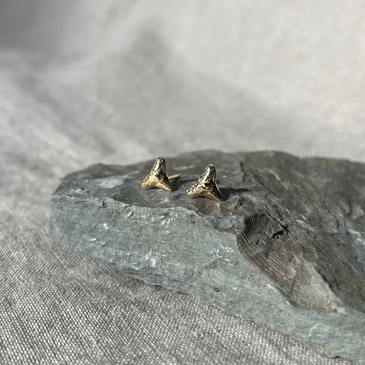 gold vermeil shark tooth studs on a rock