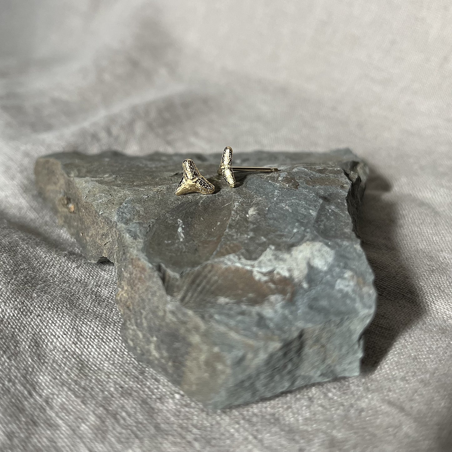 gold vermeil shark tooth studs on a rock