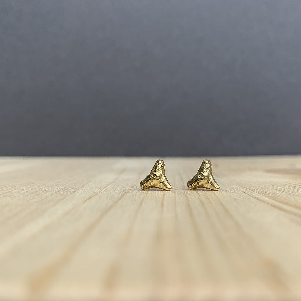 shark tooth stud earrings in brass