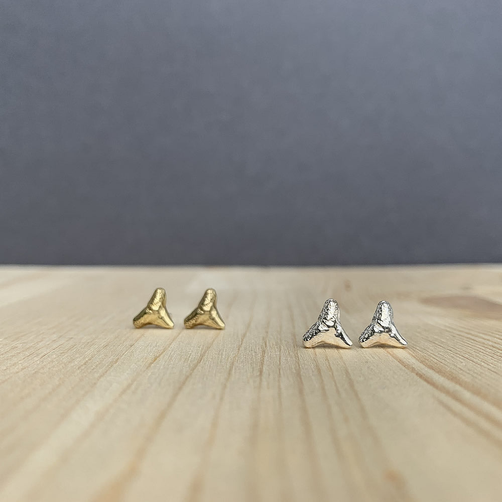 shark tooth stud earrings in sterling silver or brass
