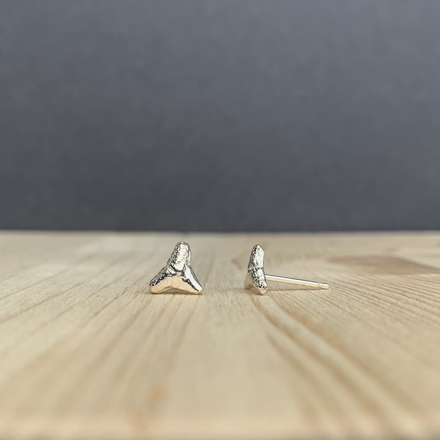 sterling silver shark tooth stud earrings