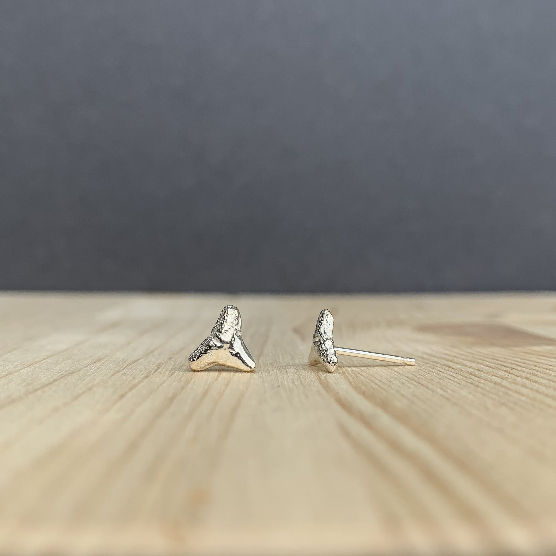 shark tooth earrings - Main Image