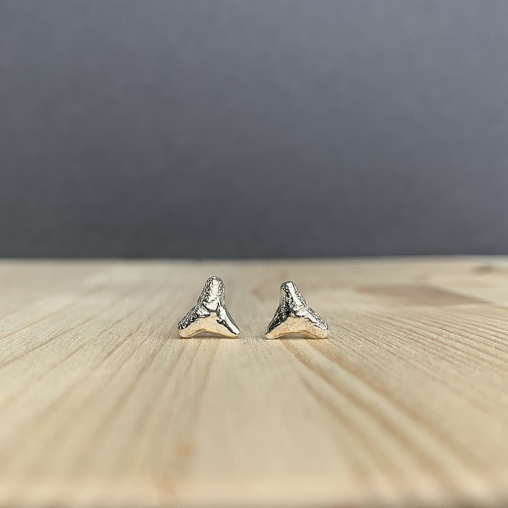 sterling silver shark tooth stud earrings