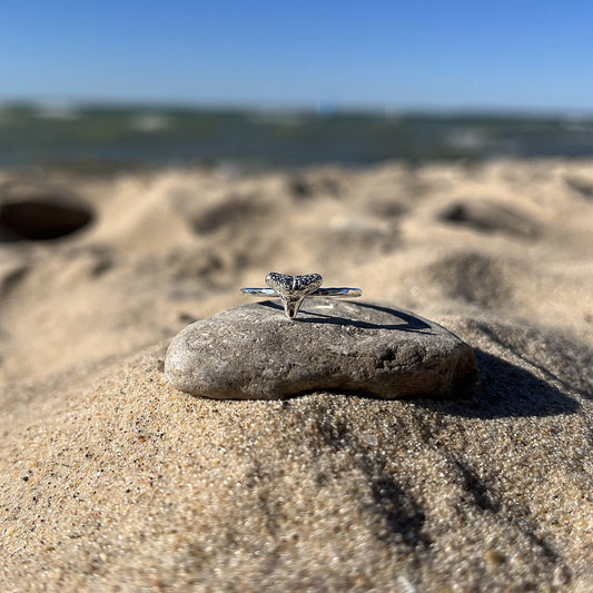 sterling silver shark tooth ring on a rock on a beach